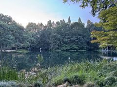 -中国茶叶博物馆(双峰馆区)