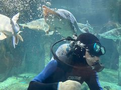 -华夏文旅海洋公园