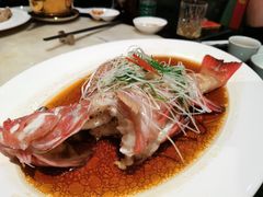 清蒸东星斑-誉八仙茶室酒楼(新天地店)