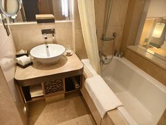 -广州白天鹅宾馆