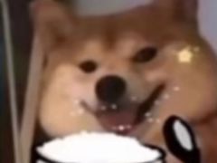 -酒井酱子·深夜食堂(东城汇店)