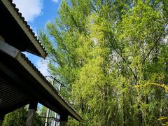 -仙居谷风景区