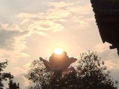 -东莞植物园