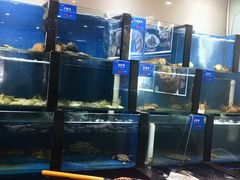 -品味居·首店·大连鲜活海鲜大连菜(东港店)