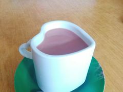 -天津海河华北乳品有限公司