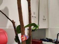 -天真蓝照相馆(杭州滨江宝龙店)