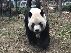 -华仔龙虾(永乐路总店)