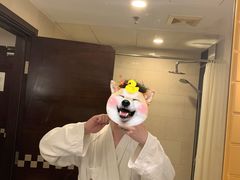 -武汉江城明珠豪生大酒店