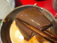 -谭鸭血老火锅(漳州路店)