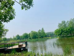 -东郊湿地公园