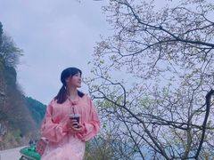 -舒家湾天主教堂