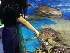 -昆明动物园