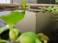 -伊隆斋(什刹海店)