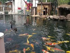 -湖鲜楼