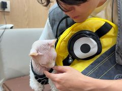 -MOCHA明星猫咖(田子坊店)