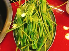 -老石黑山羊毛驴肉火锅(金凯广场店)