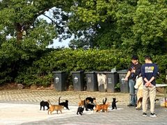 -南京市江宁方山