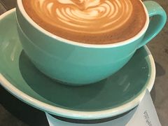 -Wagas沃歌斯(大学路店)