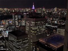-东京都厅舍