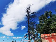 -丰台药王庙
