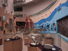 -陕西自然博物馆