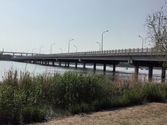 -绿堤公园