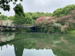 -徽珍源(龙茗路店)