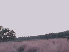 -艾溪湖湿地公园