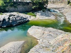 -黑河国家森林公园