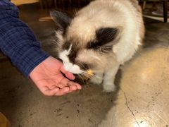 -咖法森林·咖啡  酒吧(天河店)