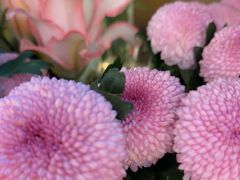 -桂满陇·蟹黄小笼汤包(中山公园店)