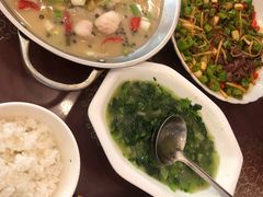 -糊涂兔毛毛菜(八里庄店)