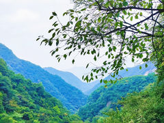 -西安祥峪森林公园