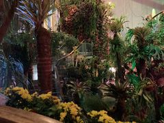 -正佳雨林生态植物园