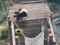 -大连森林动物园