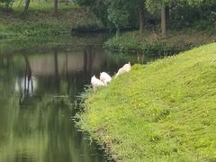 -嘉北郊野公园