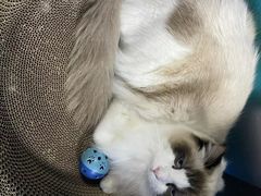 -零纪元VR体验馆·桌游(黄浦店)