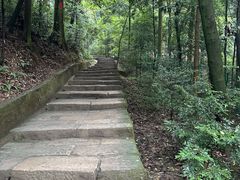 -缙云山景区