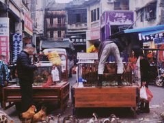 -水街农贸市场