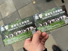 -横道河子东北虎林园