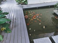 -绿房子方寸咖啡(星海名城店)