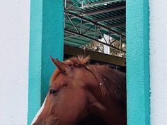 -华海酒店(茂名高铁站店)