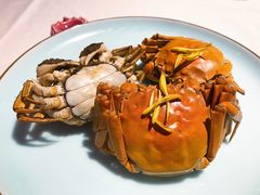 清蒸大闸蟹-蟹榭·本帮江浙菜·蟹宴(五角场合生汇商场店)