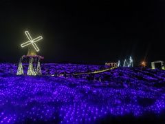 -大塘金香草谷