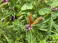 -北京山里寒舍度假酒店