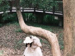 -东湖落雁景区
