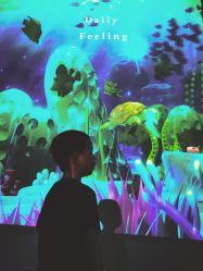-多元宝贝世界(曲江彩虹谷店)