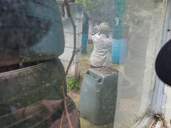 -东湖小天池真人CS彩弹野战基地