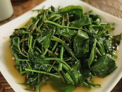 -晓雯人家