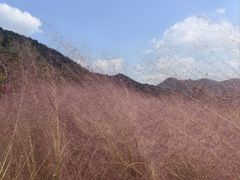 -东钱湖旅游度假区